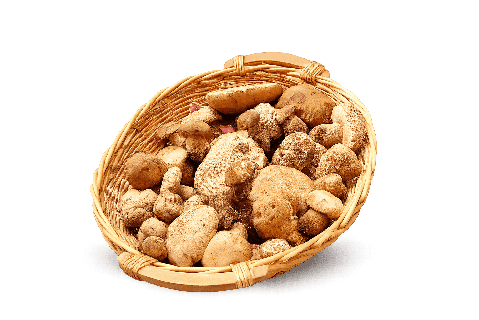 Cesto di porcini